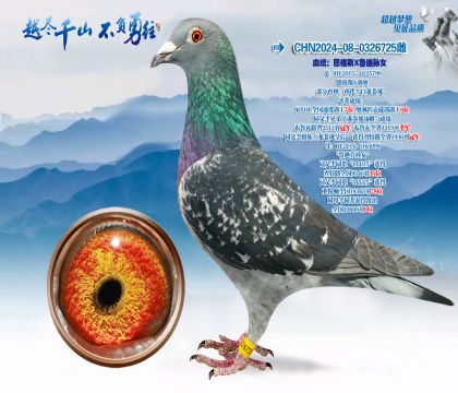 Ѫͳ������˹��³����Ů