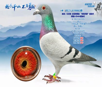 Ѫͳ��������-������ԭ�ᡰ�����޵С������