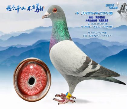 Ѫͳ�����������-��ĸ���Լ�ŵ�������ԭ��