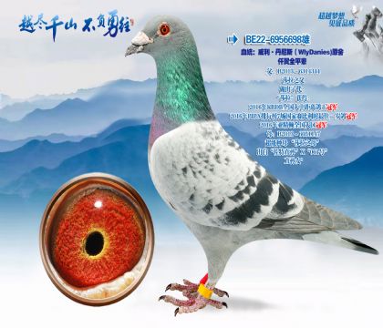 Ѫͳ������������˹��WIyDanies��ԭ��-Ǫ��ȫƽ��