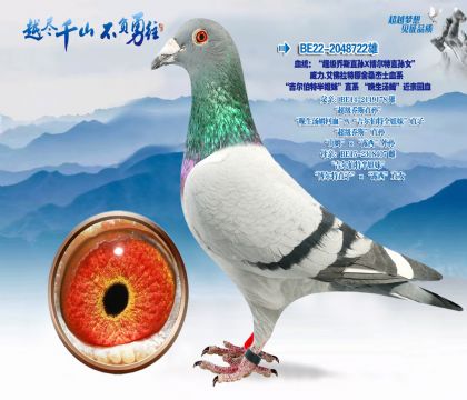 Ѫͳ����������˹ֱ���������ֱ��Ů����.��������ԭ��ɣ��ʿѪϵ