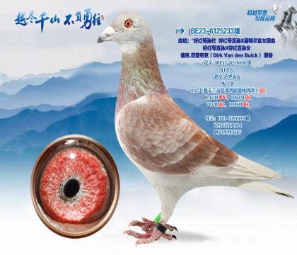 Ѫͳ�����ú������ú��ֱ��X���ض�ֱŮ��Ѫ