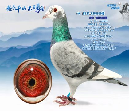 Ѫͳ�������ֿ�˹ԭ��