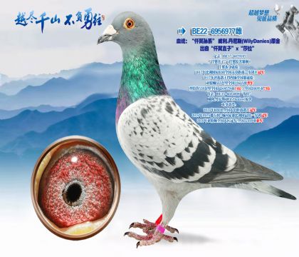 Ѫͳ����Ǫ����ϵ������.����˹(Danies)ԭ��