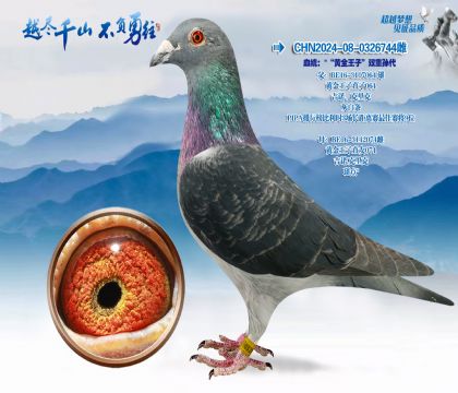 Ѫͳ��������ȫ���ӡ�˫�����