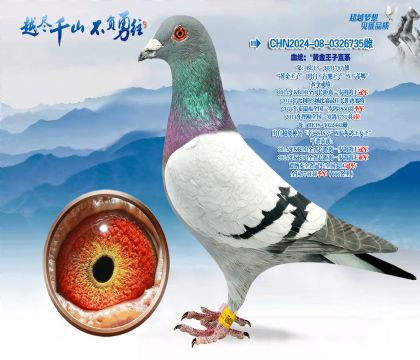 Ѫͳ�����Իƽ�����ֱϵѪϵ