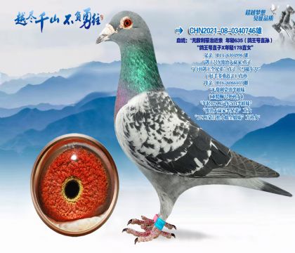 Ѫͳ���޵������ν�������635��������ֱ�������ֱ�ӡ�����178ֱŮ