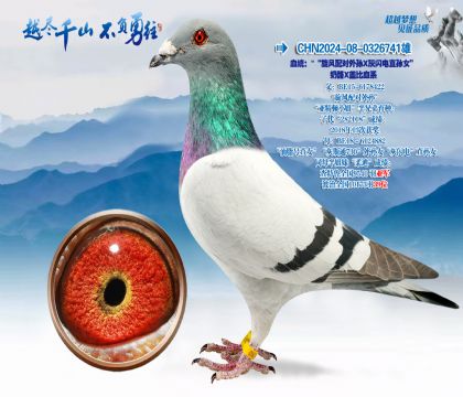 Ѫͳ��������������������ֱ��Ů