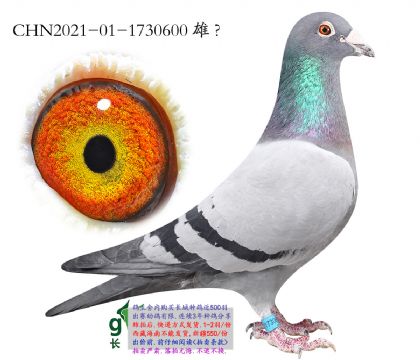 1.�����˹x��ʱ��Ѫϵ.1730600