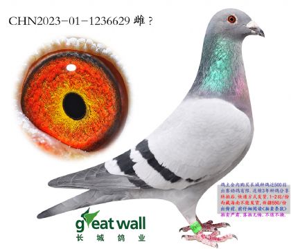 3.����ռ�����ܽ���.1236629