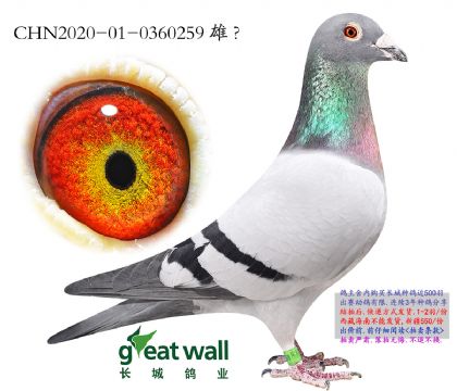 8.���������Ѫϵ.0360259