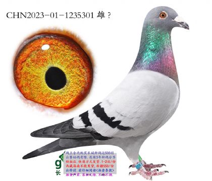 7.�����˹���.1235301