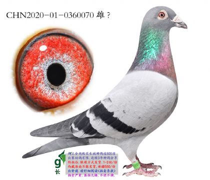 16.�¿�����ȫ���Ӵ�.0360070