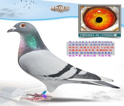 3.�Ǳ�x�ƽ�����.1735254