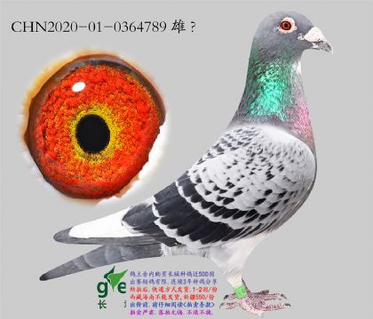 1.ɳ��Ǫ��x��������.0364789