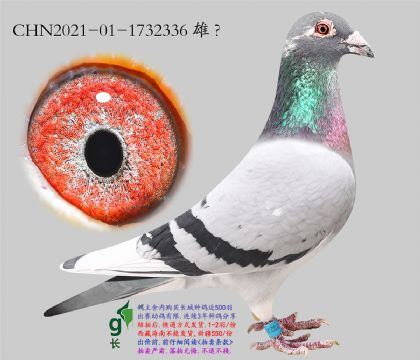 5.�������x³��f.1732336