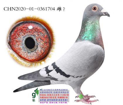 6.�����ھ��Ӵ�.0361704