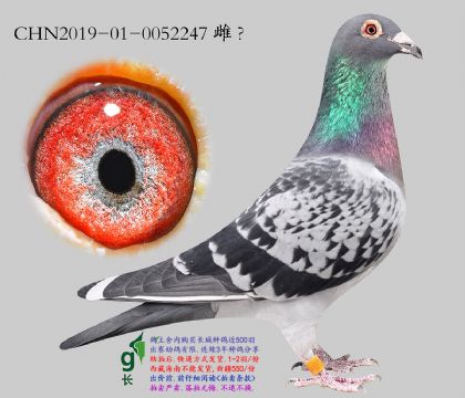 7.�Ǳ�x������x����.0052247