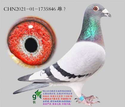 8.�ٰ���x������f.1735846