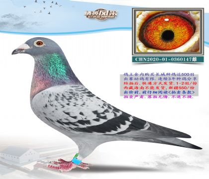 11.������ŷ���.0360147