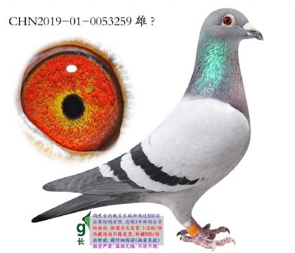 10.��ʱ��ȫ���Ӵ�.0053259