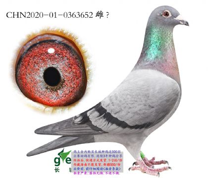 14.�¿��������.0363652