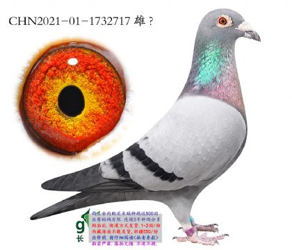 3.��ʱ�ݰ�����m.1732717