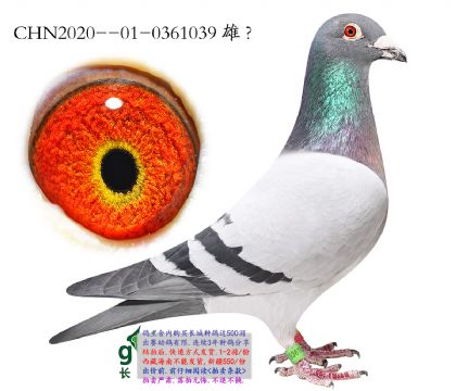 2.�����������.0361039