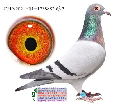 6.Ѹ�׺����.1735882