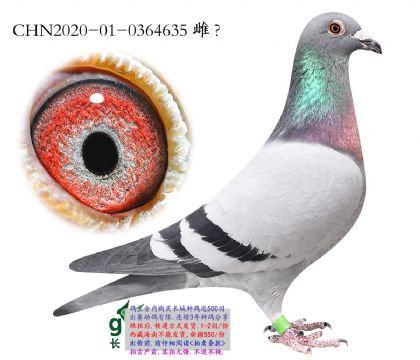 7.����������Ǿ��Ӵ�.0364635