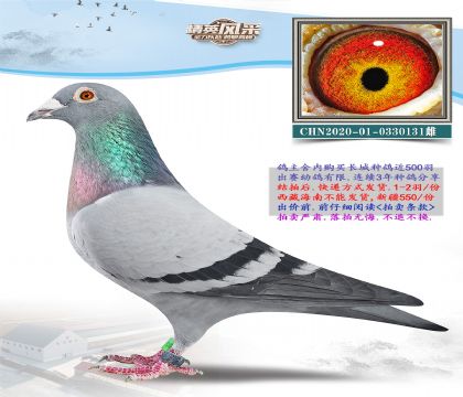 10.���ܸ��׵�ȫ���Ӵ�.0330131