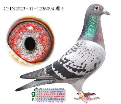 12.�������ۺϼ������.1236094