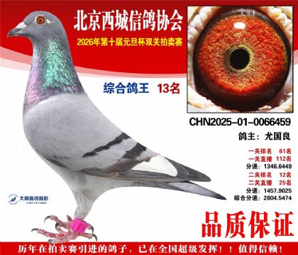 ����13��