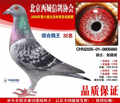 ����32��