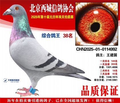 ����38��