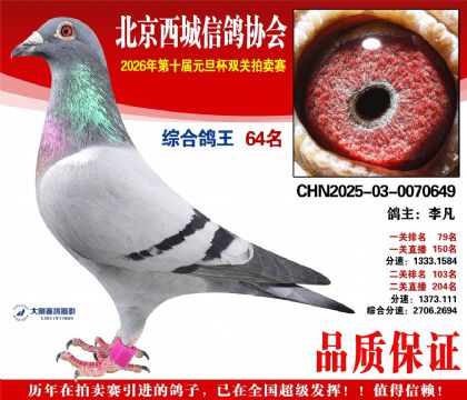 ����64��