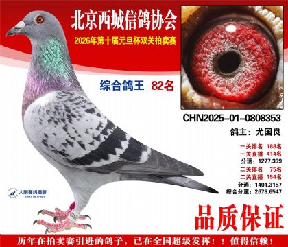 ����82��