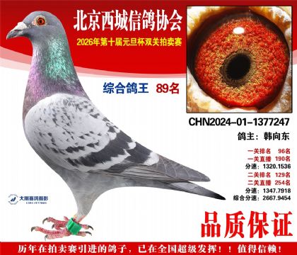 ����89��