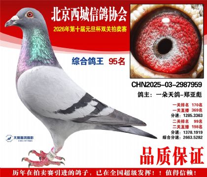 ����95��