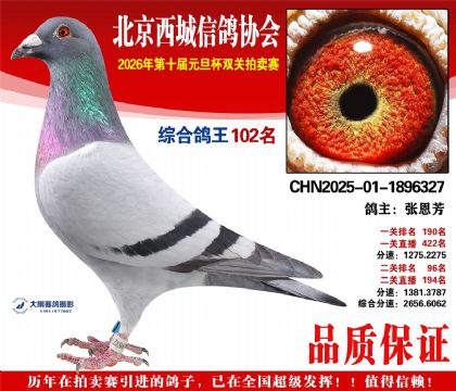 ����102��