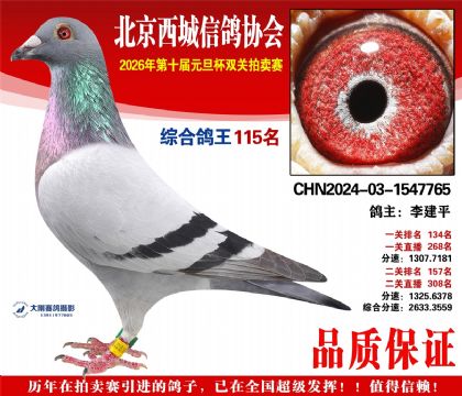 ����115��