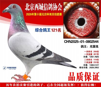 ����121��