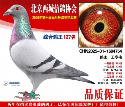 ����127��