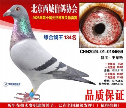 ����134��