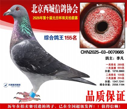 ����155��