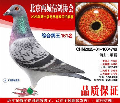 ����161��