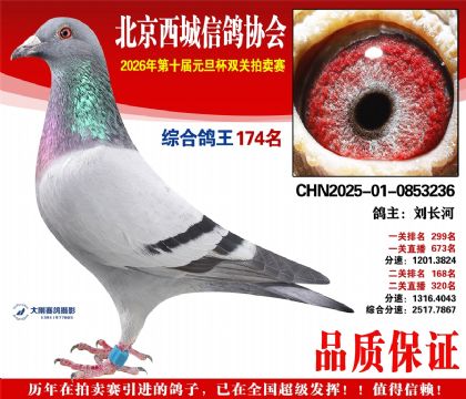 ����174��