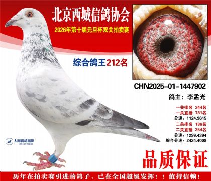 ����212��