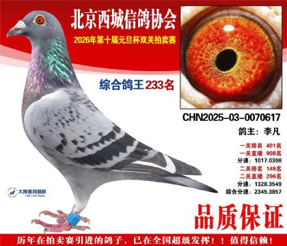 ����233��