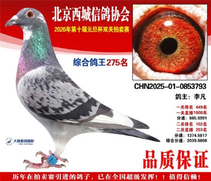 ����275��